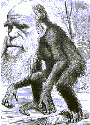 20090325142648-darwin.gif